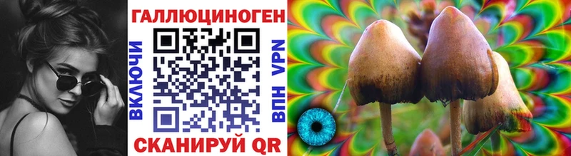 MEGA вход  купить  цена  Верхотурье  Галлюциногенные грибы Cubensis 